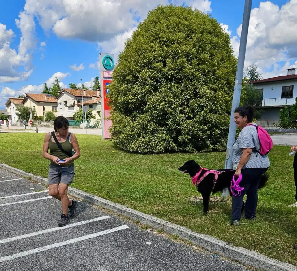 Foto GEM DOG A.S.D.: Allenamento di mantrailing, 31 agosto 2025, foto 10 di 13