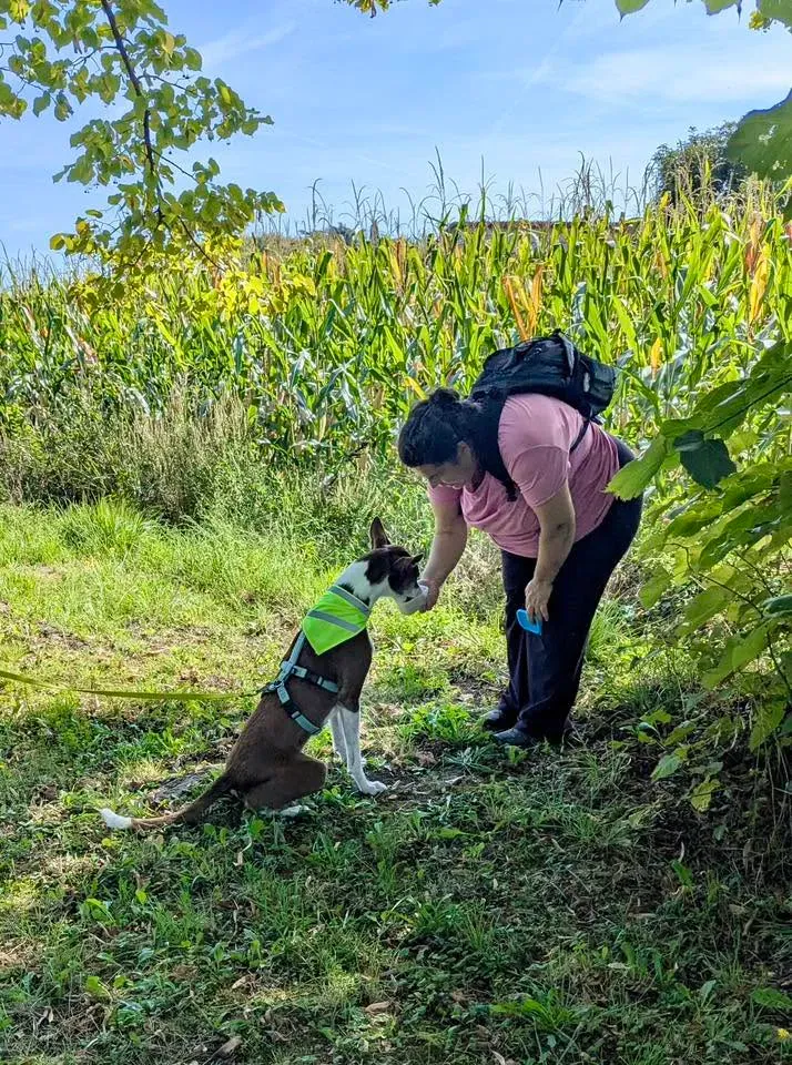Foto GEM DOG A.S.D.: Allenamento di mantrailing, 20 settembre 2025, foto 2 di 17
