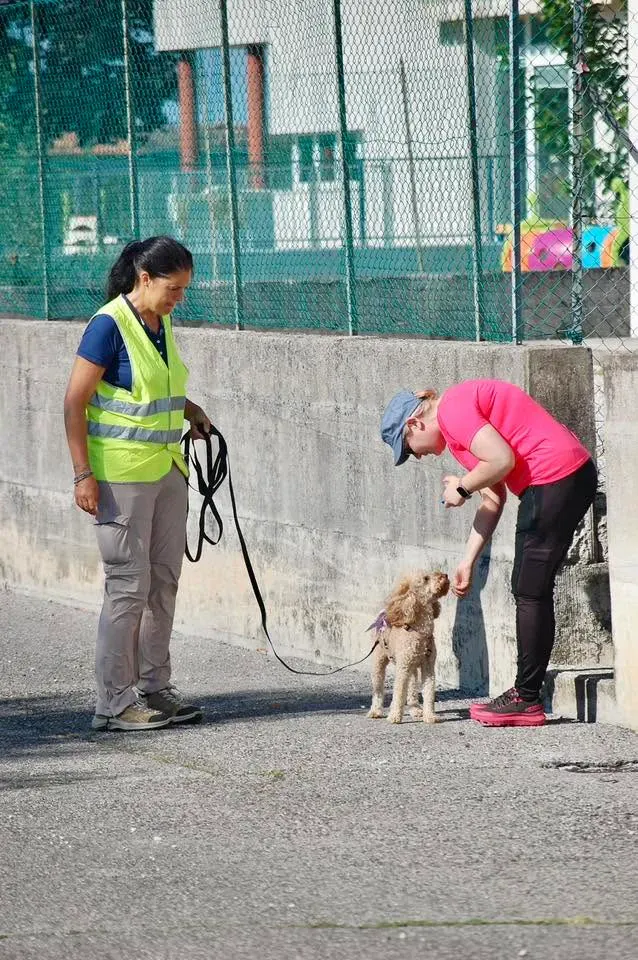 Foto GEM DOG A.S.D.: Allenamento di mantrailing, 20 settembre 2025, foto 4 di 17