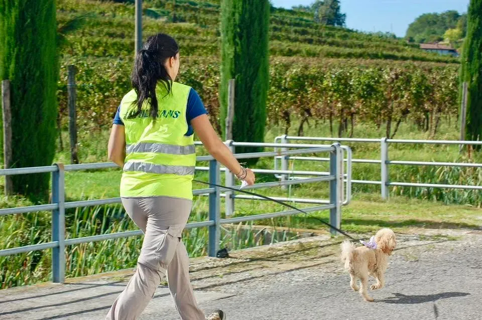 Foto GEM DOG A.S.D.: Allenamento di mantrailing, 20 settembre 2025, foto 8 di 17