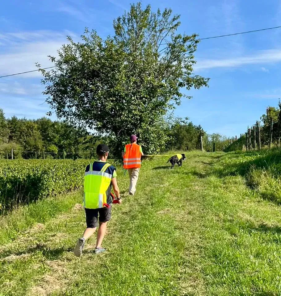 Foto GEM DOG A.S.D.: Allenamento di mantrailing, 20 settembre 2025, foto 15 di 17