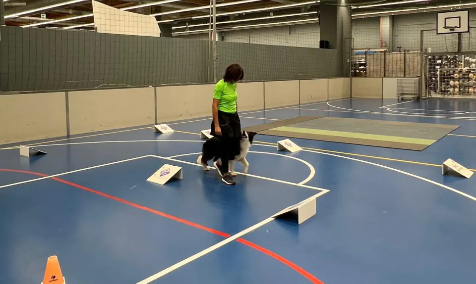 Foto GEM DOG A.S.D.: Club day Decathlon, Villesse, 27 settembre 2025, foto 1 di 3