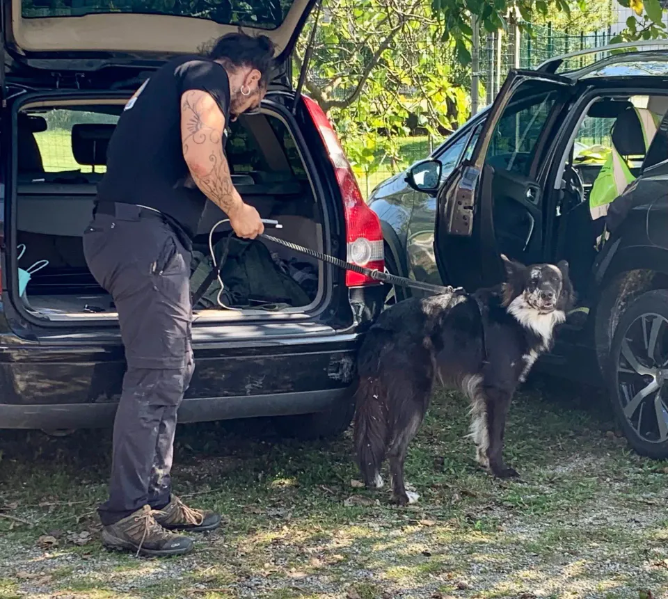 Foto GEM DOG A.S.D.: Gara interregionale di mantrailing FISC, Leproso, 28 settembre 2025, foto 6 di 12