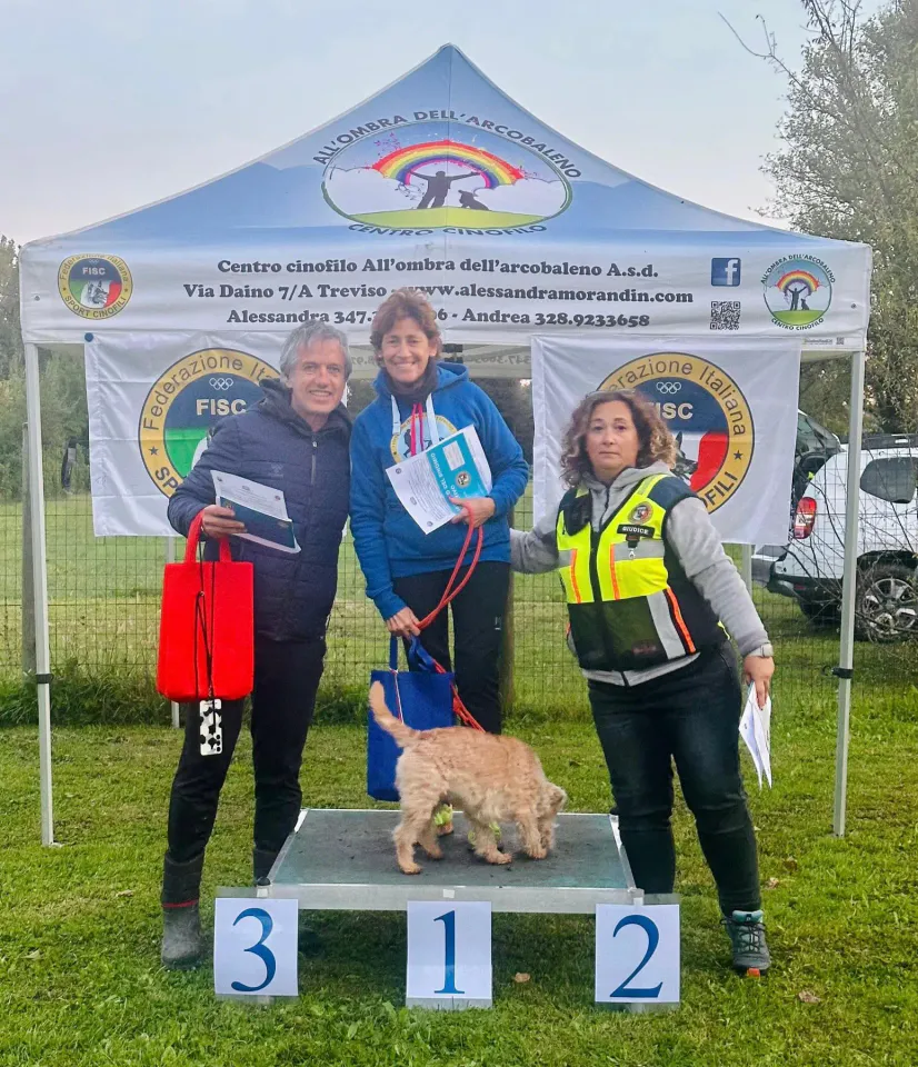 Foto GEM DOG A.S.D.: podio, Gara interregionale di mantrailing FISC, Casier, 5 ottobre 2025, foto 4 di 4