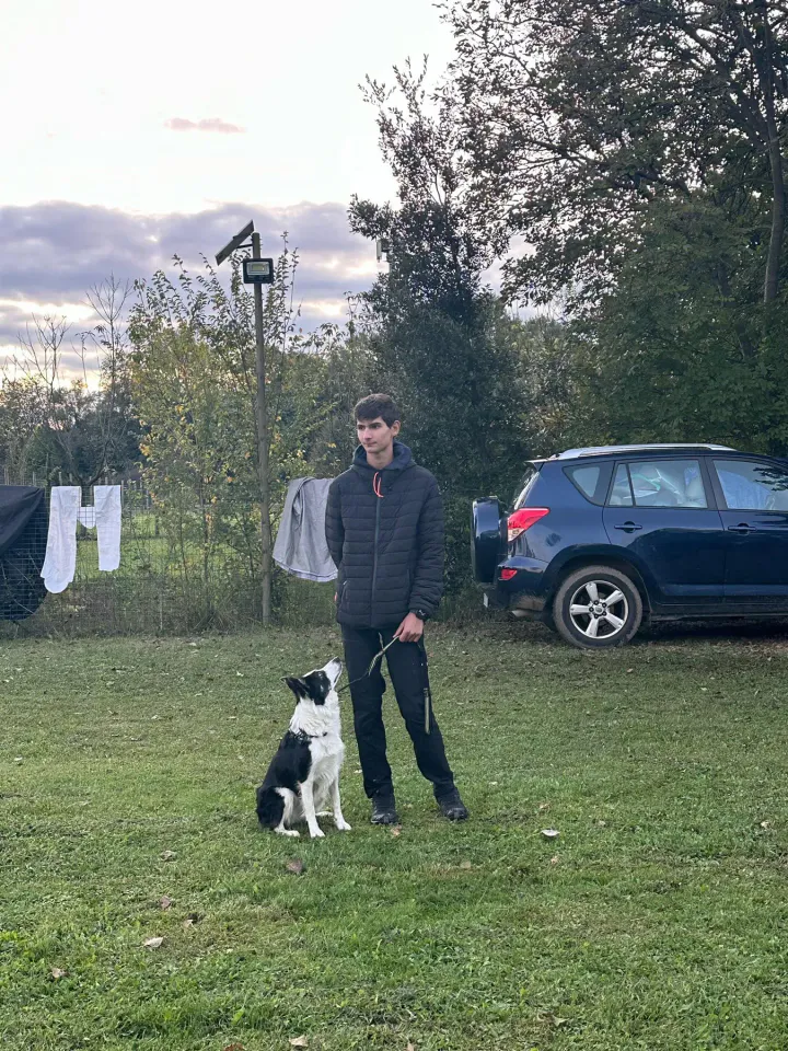 Foto GEM DOG A.S.D.: Gara interregionale di mantrailing FISC, Casier, 5 ottobre 2025, foto 4 di 5