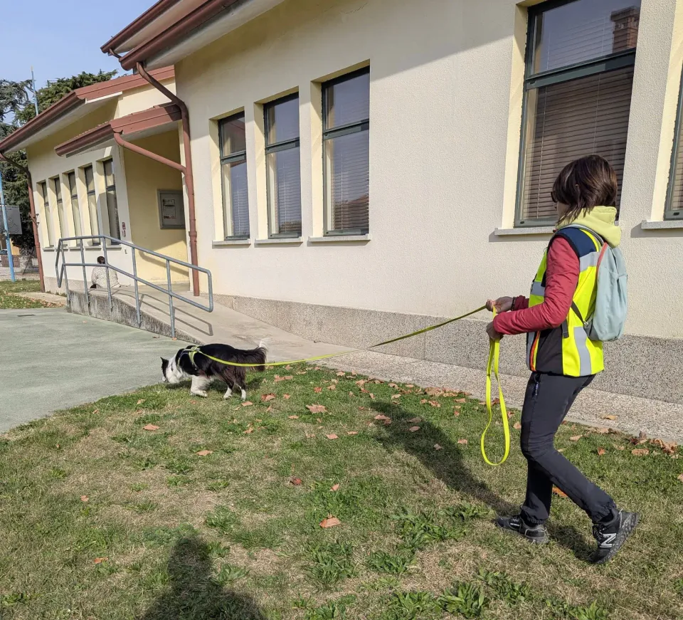 Foto GEM DOG A.S.D.: Allenamento di mantrailing, 19 ottobre 2025, foto 1 di 21