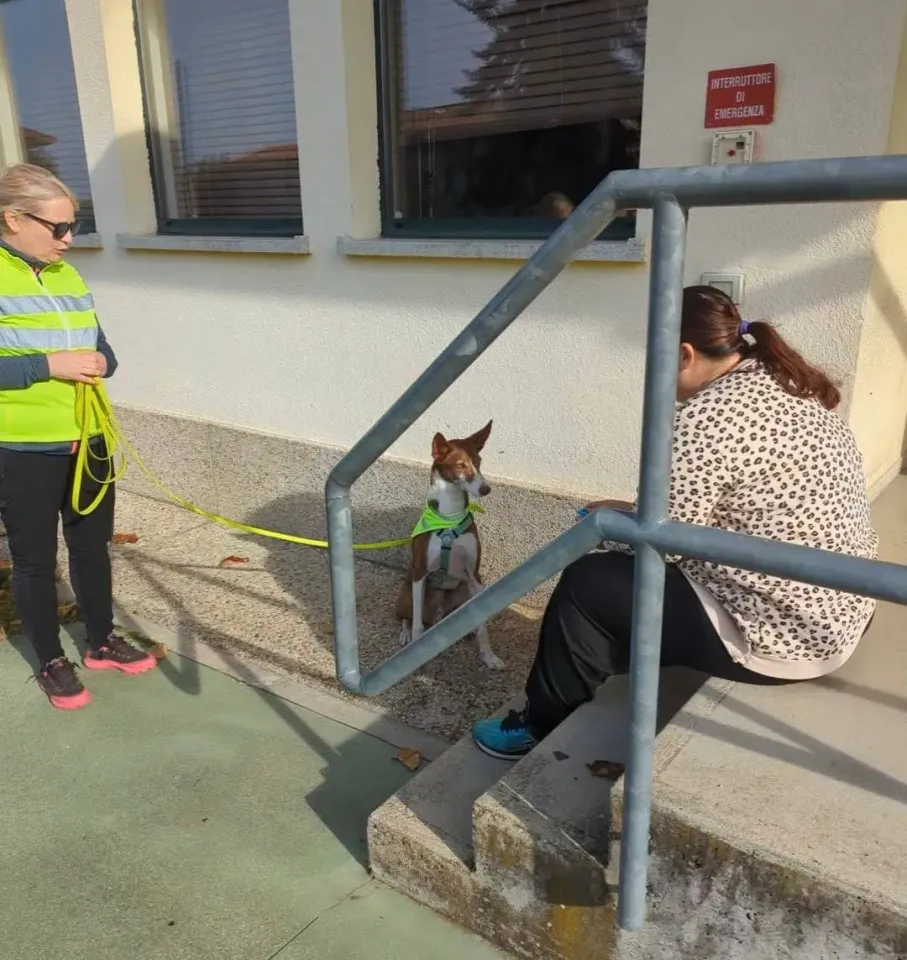Foto GEM DOG A.S.D.: Allenamento di mantrailing, 19 ottobre 2025, foto 2 di 21