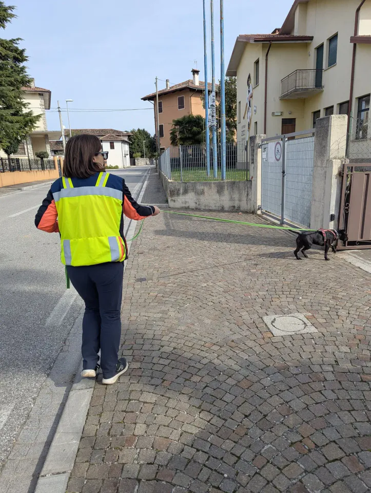 Foto GEM DOG A.S.D.: Allenamento di mantrailing, 19 ottobre 2025, foto 4 di 21