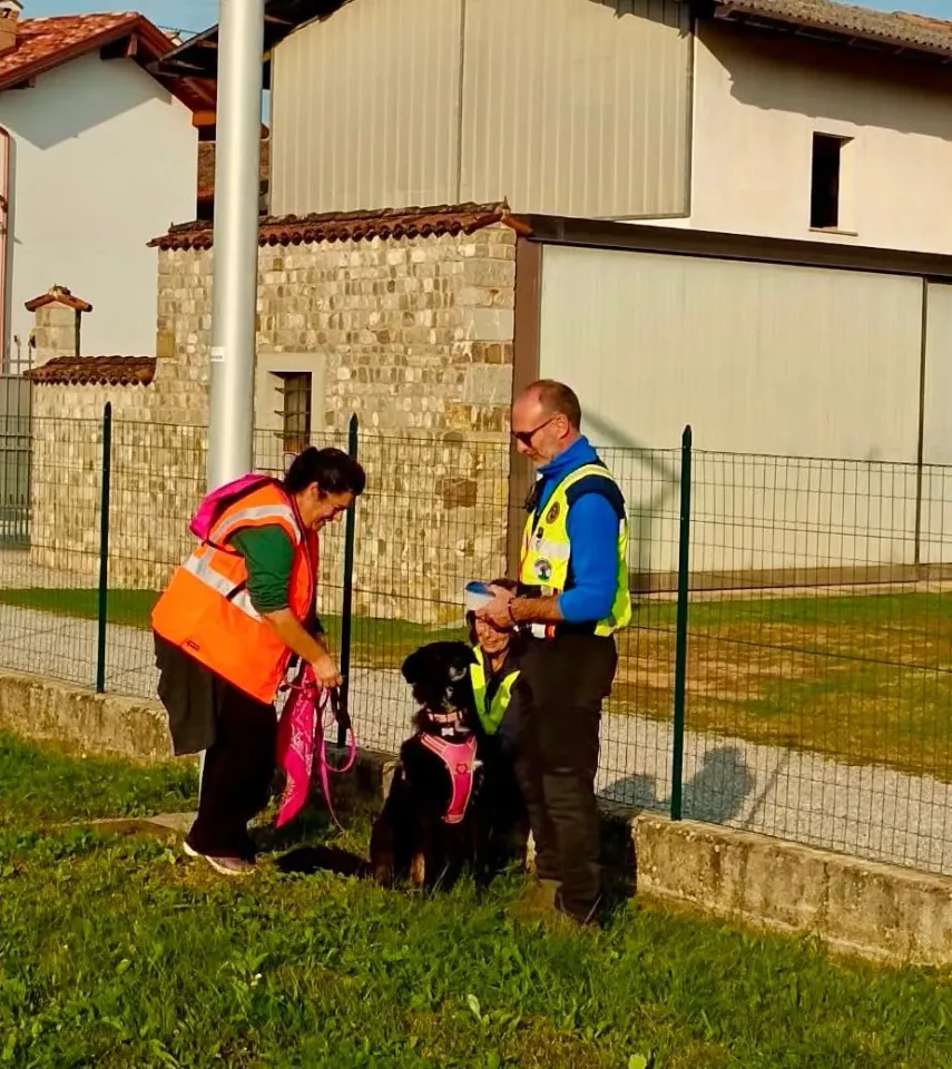 Foto GEM DOG A.S.D.: Allenamento di mantrailing, 19 ottobre 2025, foto 7 di 21