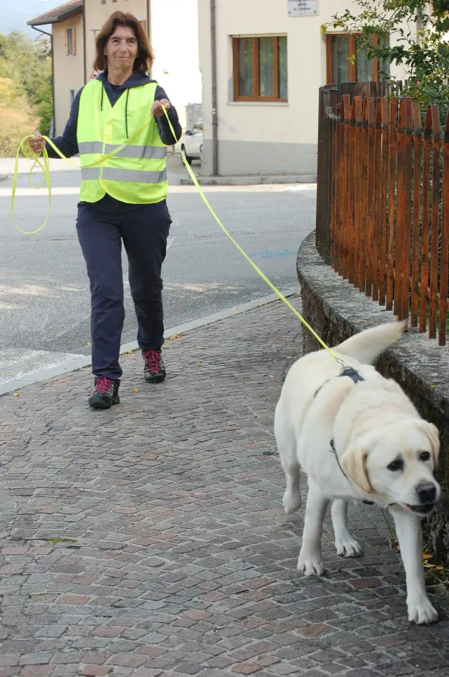Foto GEM DOG A.S.D.: Allenamento di mantrailing, 19 ottobre 2025, foto 8 di 21