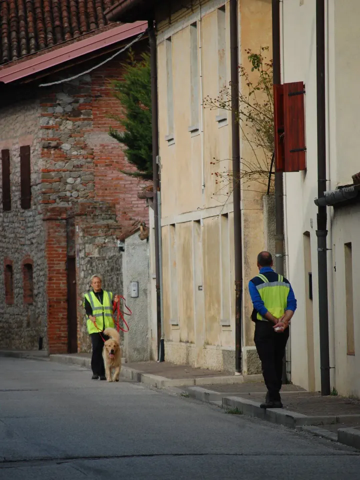 Foto GEM DOG A.S.D.: Allenamento di mantrailing, 19 ottobre 2025, foto 10 di 21