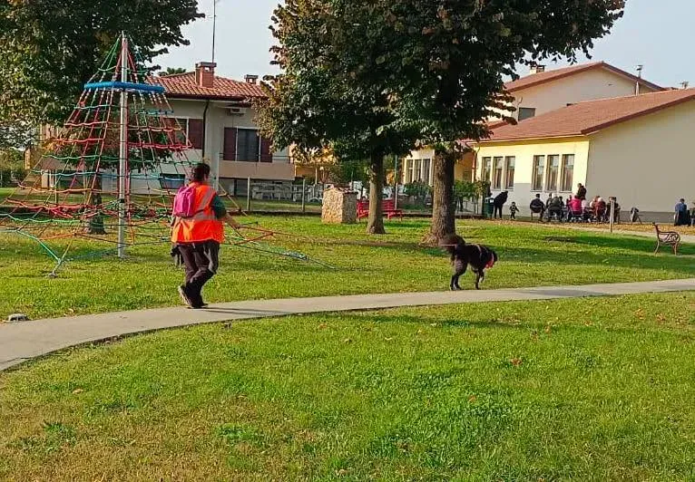 Foto GEM DOG A.S.D.: Allenamento di mantrailing, 19 ottobre 2025, foto 16 di 21