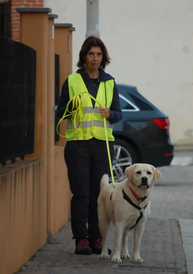 Foto GEM DOG A.S.D.: Allenamento di mantrailing, 19 ottobre 2025, foto 18 di 21