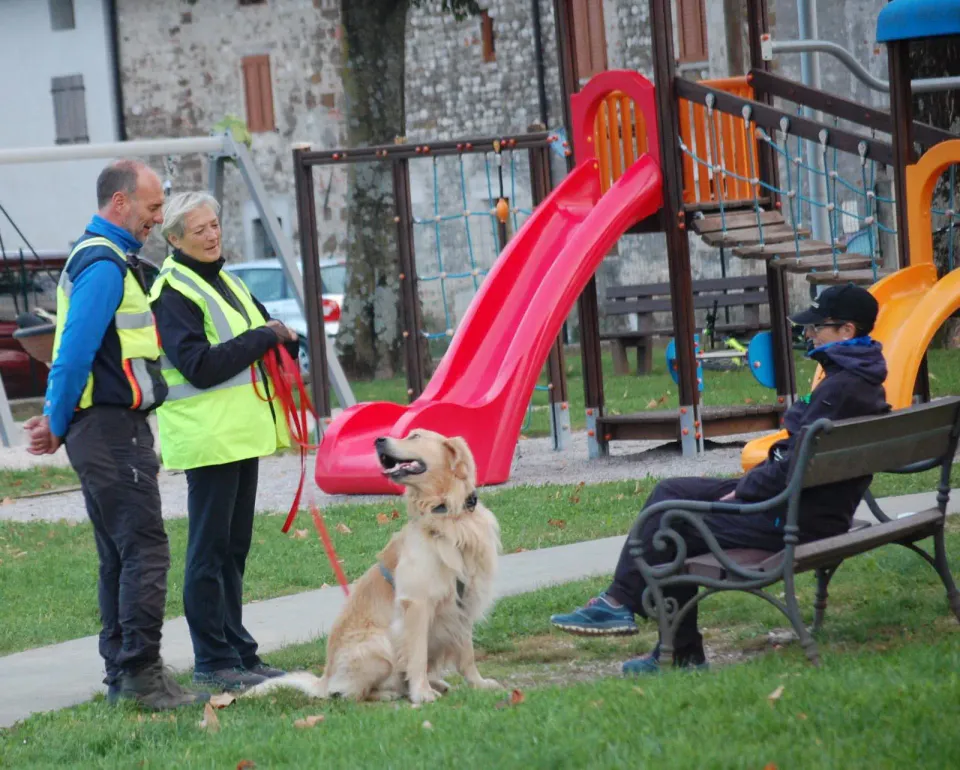 Foto GEM DOG A.S.D.: Allenamento di mantrailing, 19 ottobre 2025, foto 19 di 21