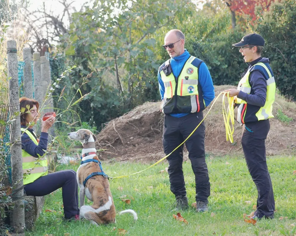 Foto GEM DOG A.S.D.: Allenamento di mantrailing, 19 ottobre 2025, foto 21 di 21