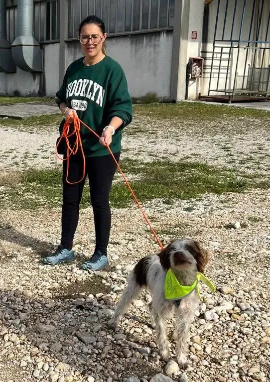 Foto GEM DOG A.S.D.: Giornata di avvicinamento al mantrailing, Leproso, 26 ottobre 2025, foto 1 di 3