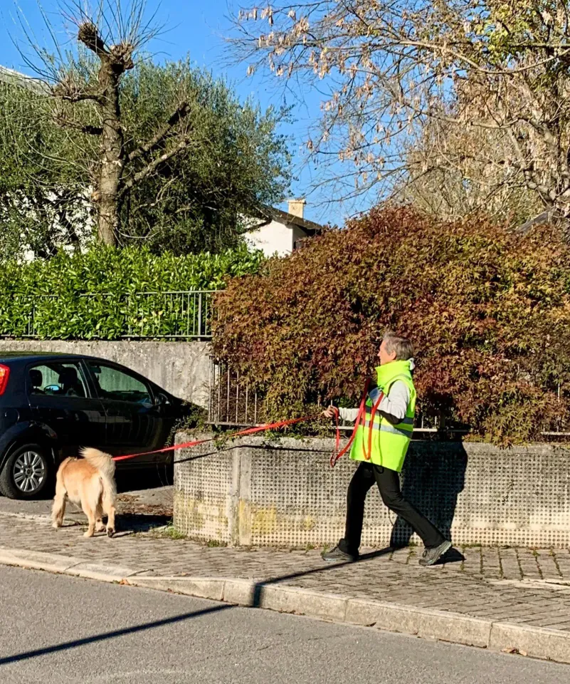 Foto GEM DOG A.S.D.: Allenamento di mantrailing, 9 novembre 2025, foto 1 di 4