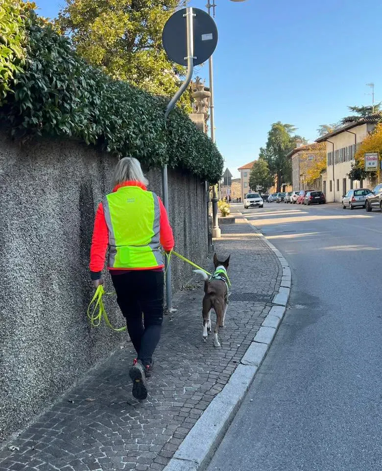 Foto GEM DOG A.S.D.: Allenamento di mantrailing, 9 novembre 2025, foto 4 di 4