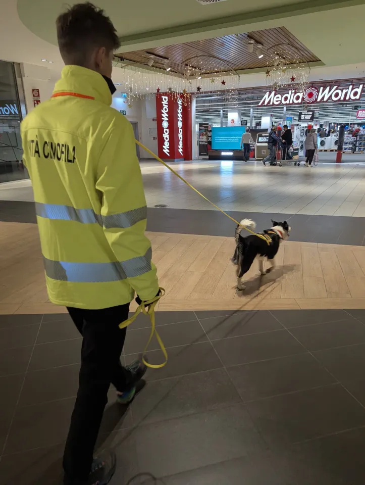 Foto GEM DOG A.S.D.: Allenamento di mantrailing, 29 novembre 2025, foto 3 di 7