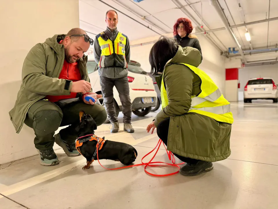 Foto GEM DOG A.S.D.: Allenamento di mantrailing, 29 novembre 2025, foto 4 di 7