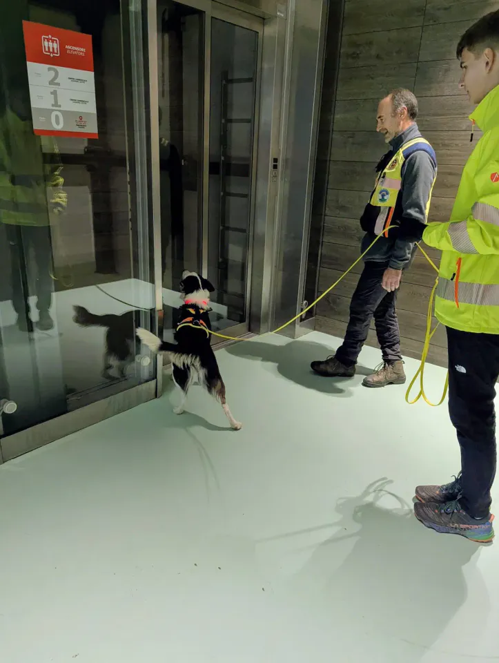 Foto GEM DOG A.S.D.: Allenamento di mantrailing, 29 novembre 2025, foto 7 di 7