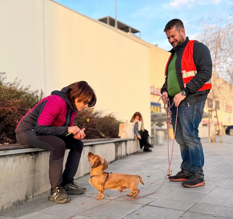 Foto GEM DOG A.S.D.: Allenamento di mantrailing, 7 dicembre 2025, foto 3 di 10