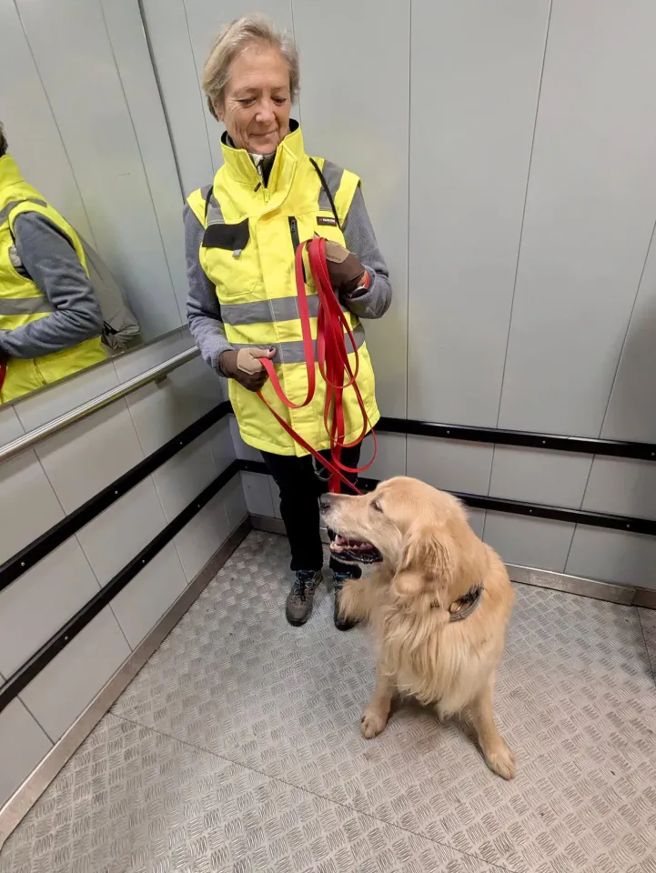 Foto GEM DOG A.S.D.: Allenamento di mantrailing, 7 dicembre 2025, foto 6 di 10