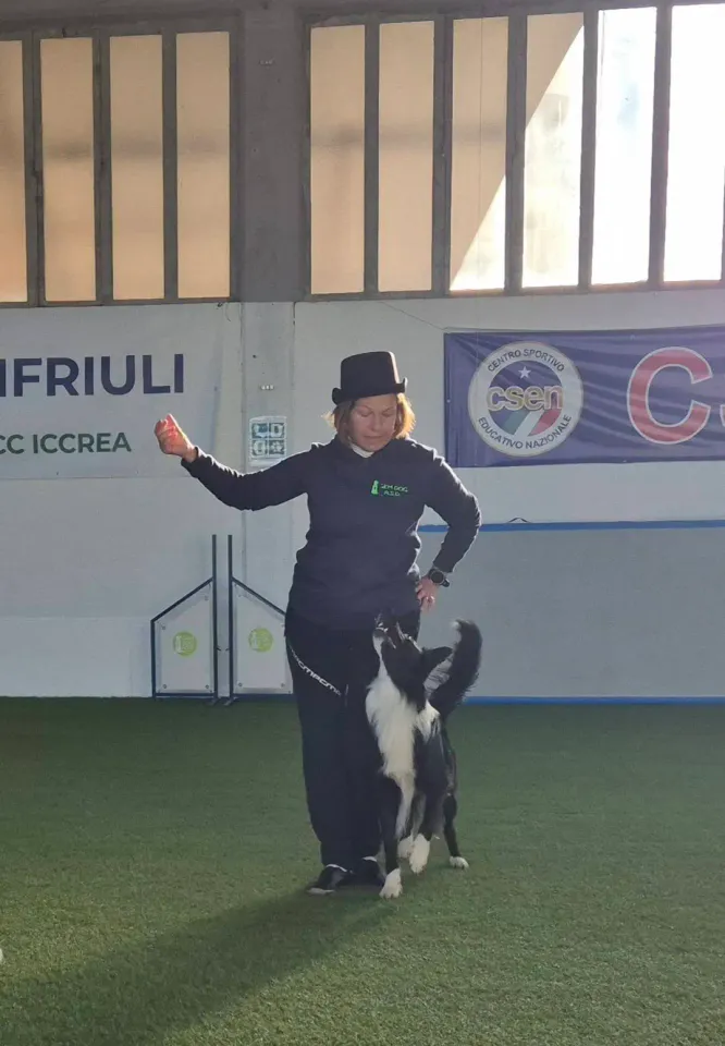 Foto GEM DOG A.S.D.: Allenamento di gruppo di dog dance, Leproso, 14 dicembre 2025, foto 3 di 5