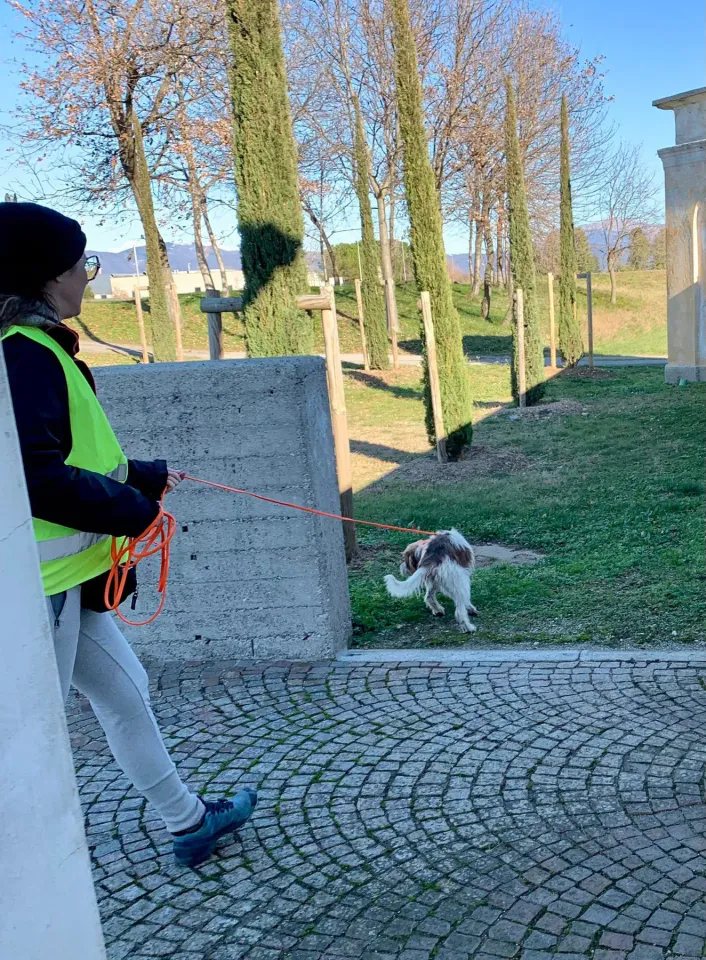 Foto GEM DOG A.S.D.: Allenamento di mantrailing, 28 dicembre 2025, foto 2 di 3
