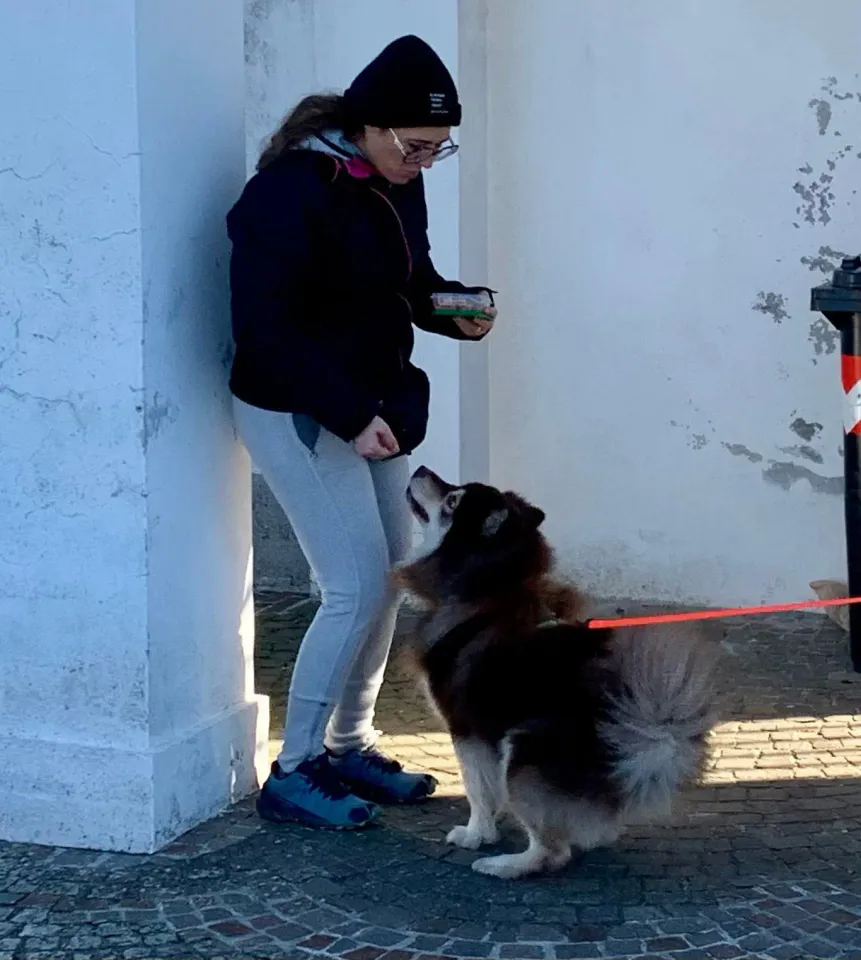 Foto GEM DOG A.S.D.: Allenamento di mantrailing, 28 dicembre 2025, foto 3 di 3