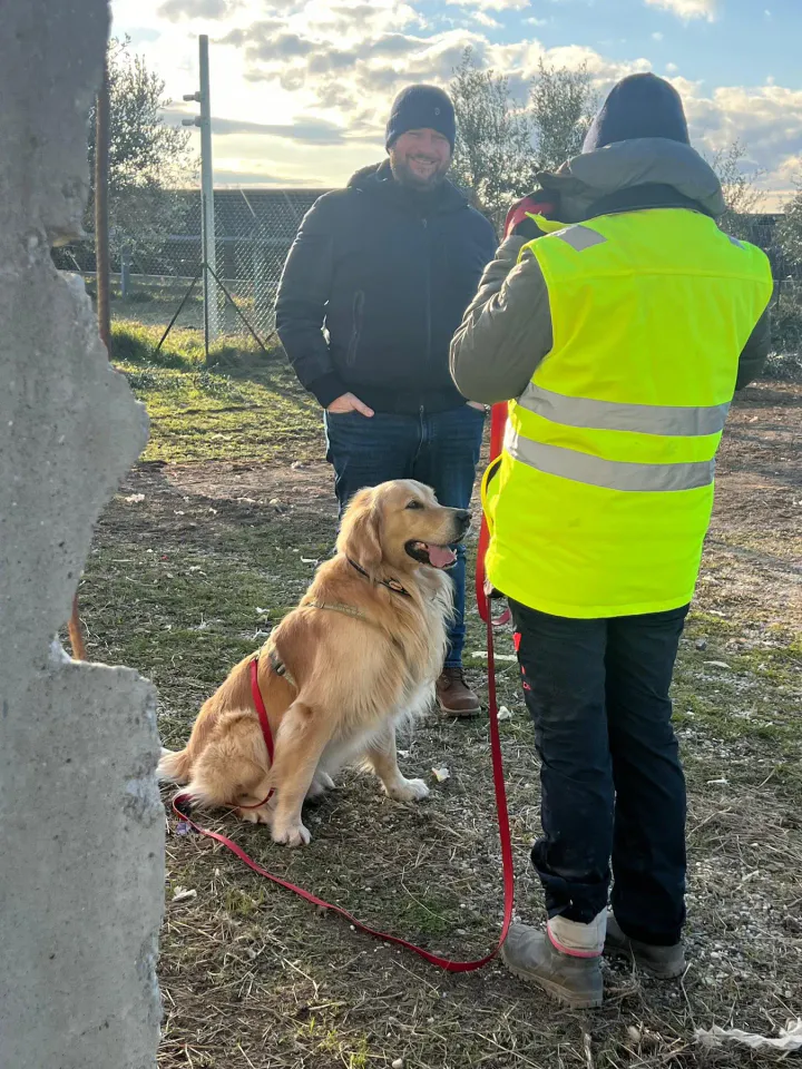 Foto GEM DOG A.S.D.: Allenamento di mantrailing, 4 gennaio 2026, foto 2 di 7