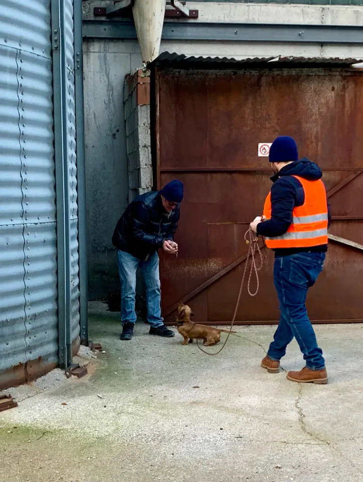 Foto GEM DOG A.S.D.: Allenamento di mantrailing, 4 gennaio 2026, foto 3 di 7