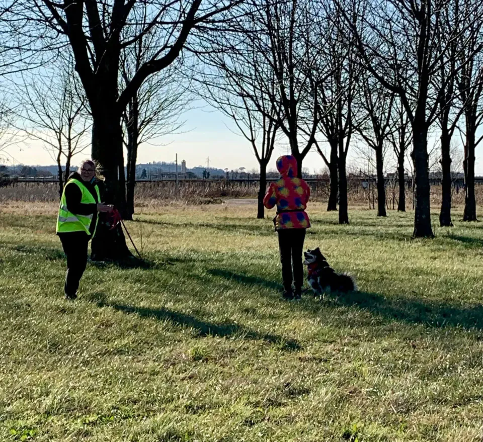 Foto GEM DOG A.S.D.: Allenamento di mantrailing, 4 gennaio 2026, foto 5 di 7