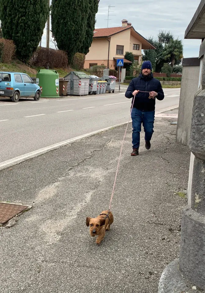 Foto GEM DOG A.S.D.: Allenamento di mantrailing, 18 gennaio 2026, foto 1 di 10