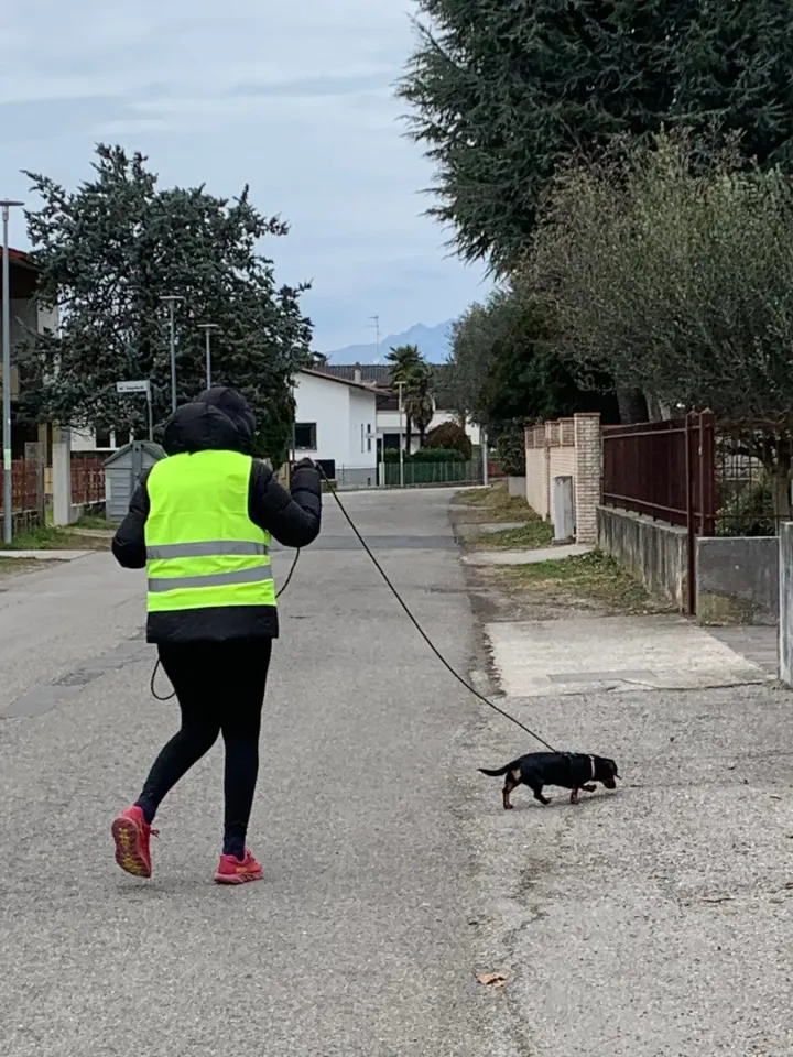 Foto GEM DOG A.S.D.: Allenamento di mantrailing, 18 gennaio 2026, foto 4 di 10