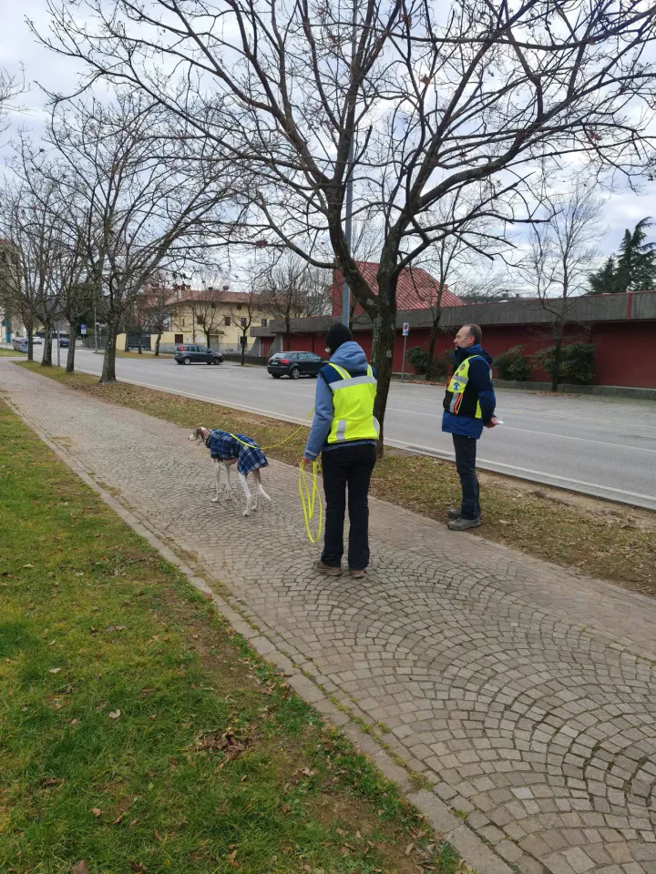 Foto GEM DOG A.S.D.: Allenamento di mantrailing, 18 gennaio 2026, foto 5 di 10