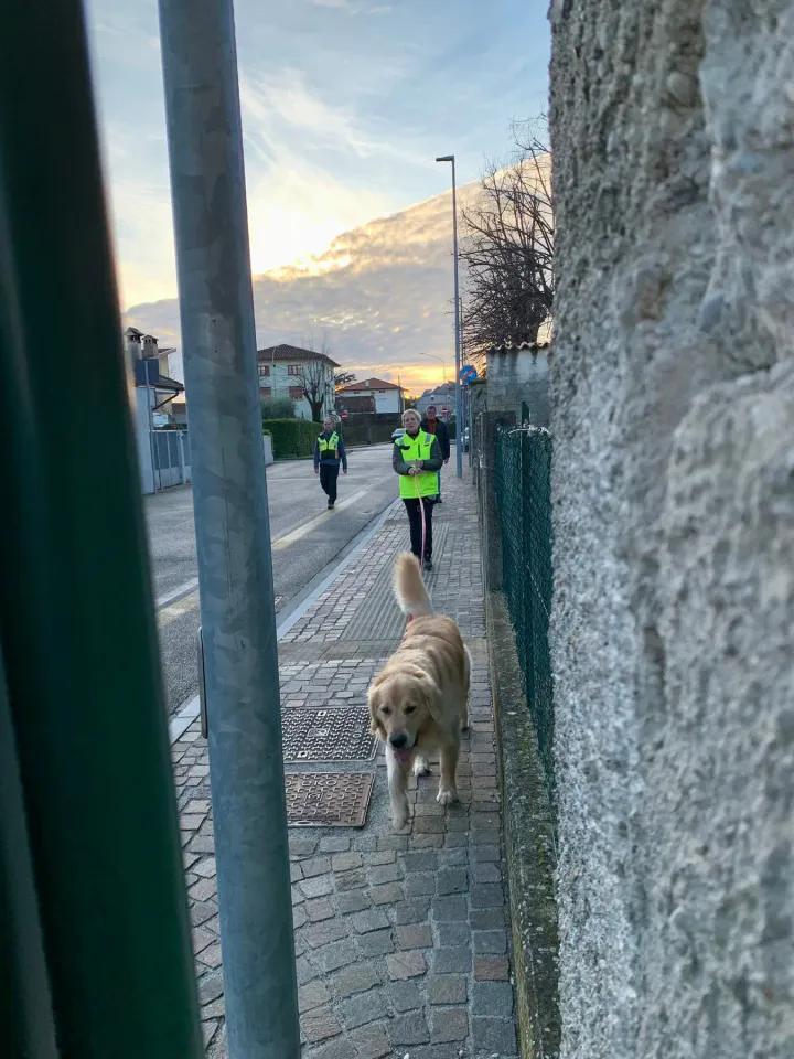 Foto GEM DOG A.S.D.: Allenamento di mantrailing, 8 febbraio 2026, foto 2 di 6