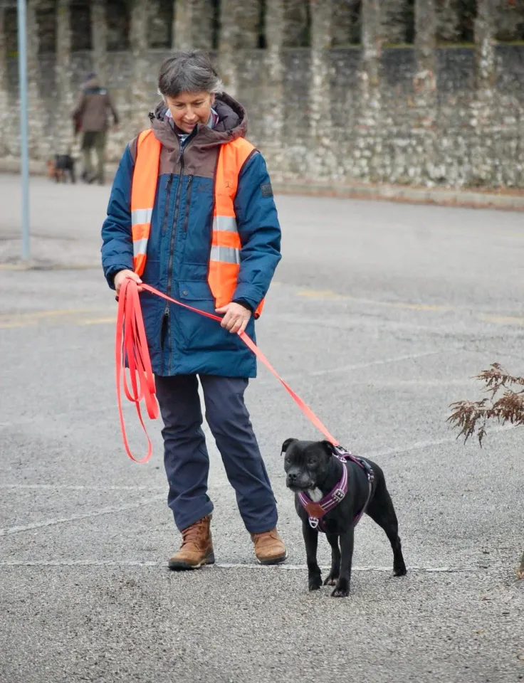 Foto GEM DOG A.S.D.: Allenamento di mantrailing, 8 febbraio 2026, foto 6 di 6