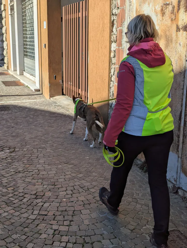 Foto GEM DOG A.S.D.: Allenamento di mantrailing, 15 febbraio 2026, foto 2 di 5