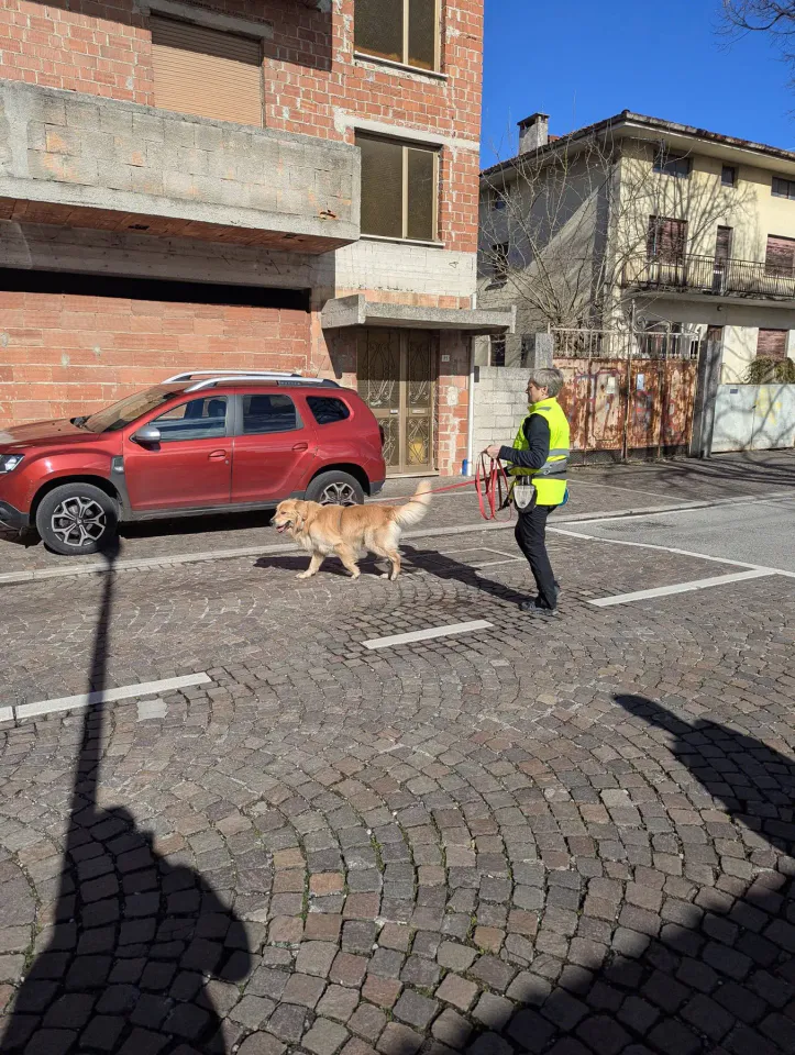 Foto GEM DOG A.S.D.: Allenamento di mantrailing, 15 febbraio 2026, foto 3 di 5
