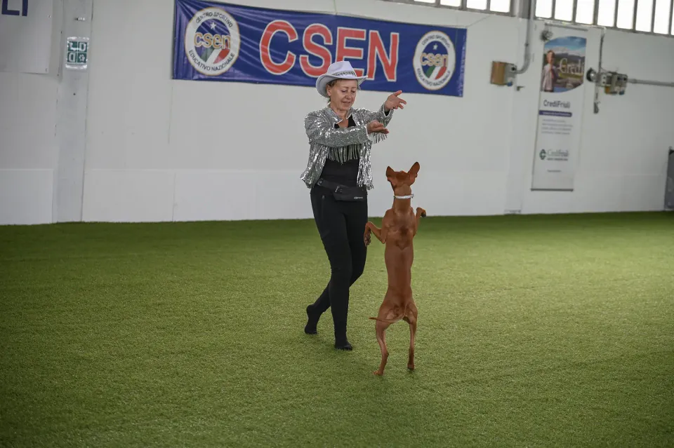 Foto GEM DOG A.S.D.: Prova di gara di dog dance, Leproso, 15 febbraio 2026, foto 3 di 33