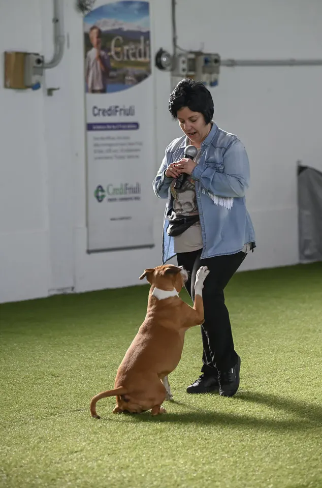 Foto GEM DOG A.S.D.: Prova di gara di dog dance, Leproso, 15 febbraio 2026, foto 4 di 33