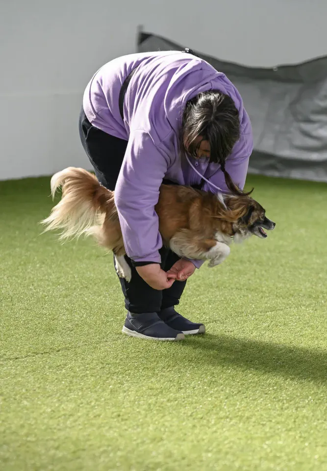 Foto GEM DOG A.S.D.: Prova di gara di dog dance, Leproso, 15 febbraio 2026, foto 5 di 33