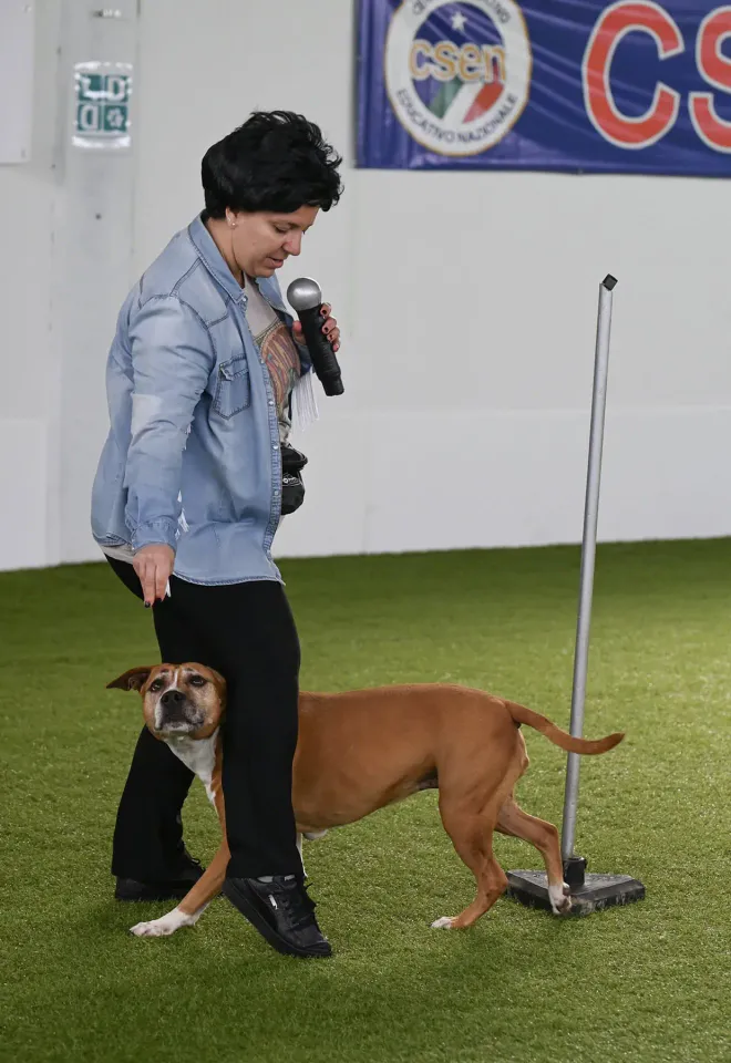 Foto GEM DOG A.S.D.: Prova di gara di dog dance, Leproso, 15 febbraio 2026, foto 6 di 33