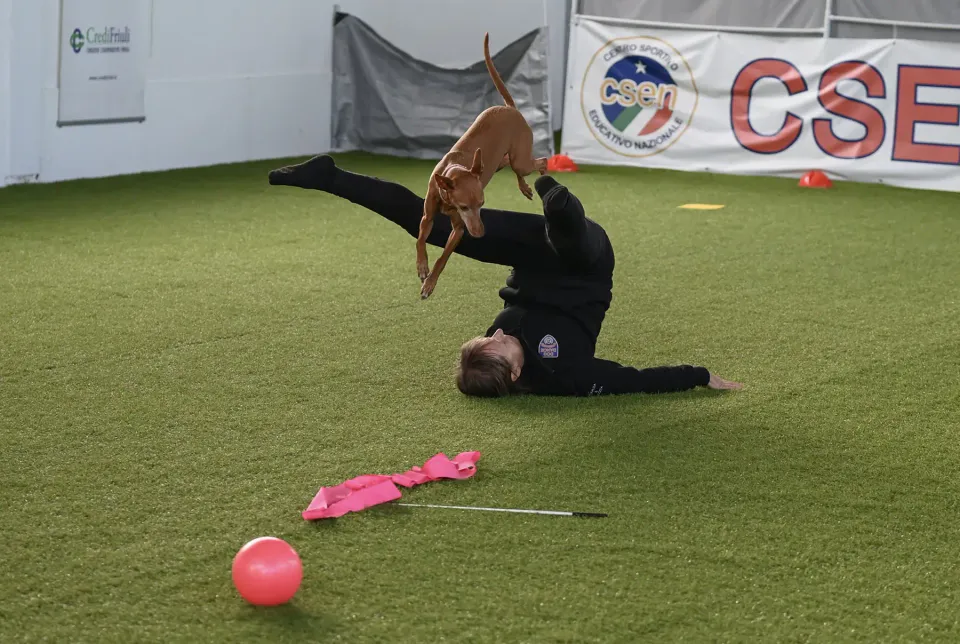 Foto GEM DOG A.S.D.: Prova di gara di dog dance, Leproso, 15 febbraio 2026, foto 7 di 33