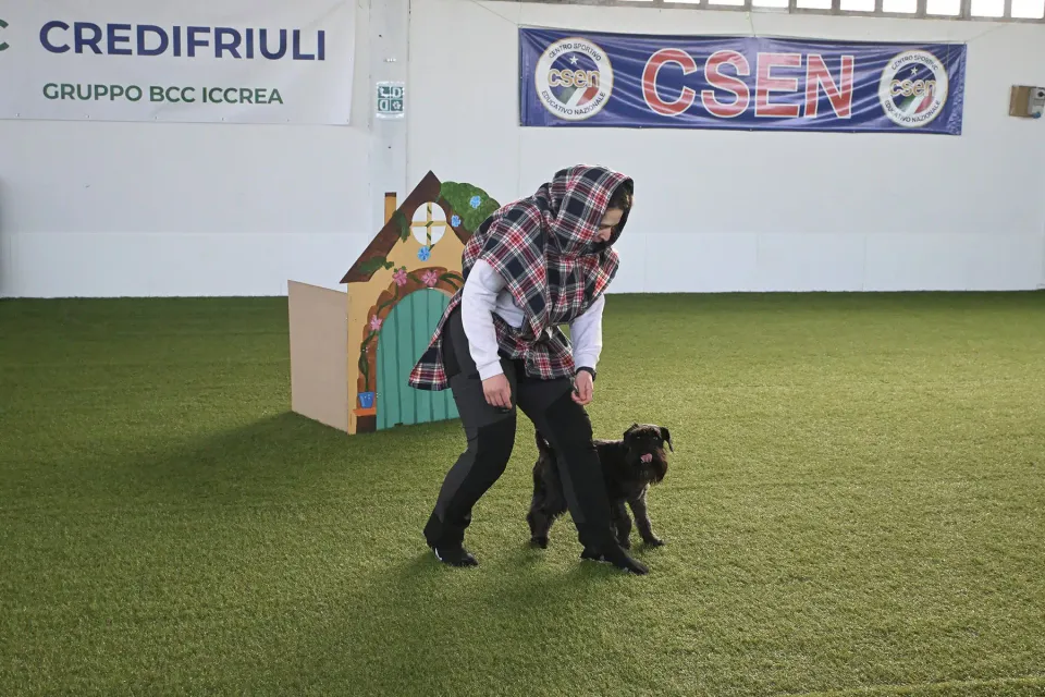Foto GEM DOG A.S.D.: Prova di gara di dog dance, Leproso, 15 febbraio 2026, foto 8 di 33