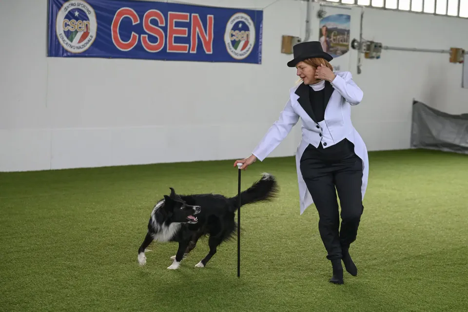 Foto GEM DOG A.S.D.: Prova di gara di dog dance, Leproso, 15 febbraio 2026, foto 9 di 33