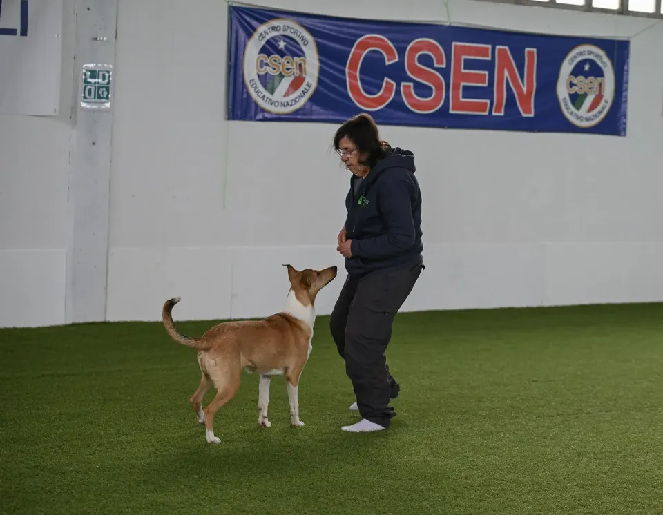 Foto GEM DOG A.S.D.: Prova di gara di dog dance, Leproso, 15 febbraio 2026, foto 10 di 33