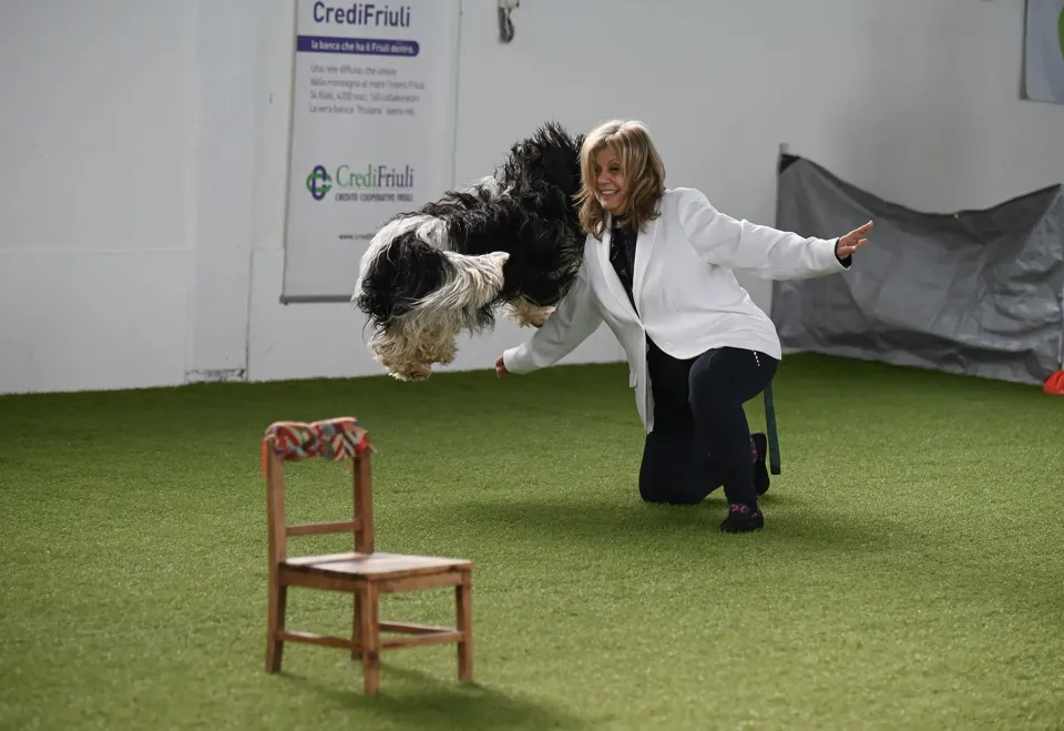 Foto GEM DOG A.S.D.: Prova di gara di dog dance, Leproso, 15 febbraio 2026, foto 11 di 33