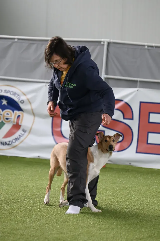Foto GEM DOG A.S.D.: Prova di gara di dog dance, Leproso, 15 febbraio 2026, foto 13 di 33